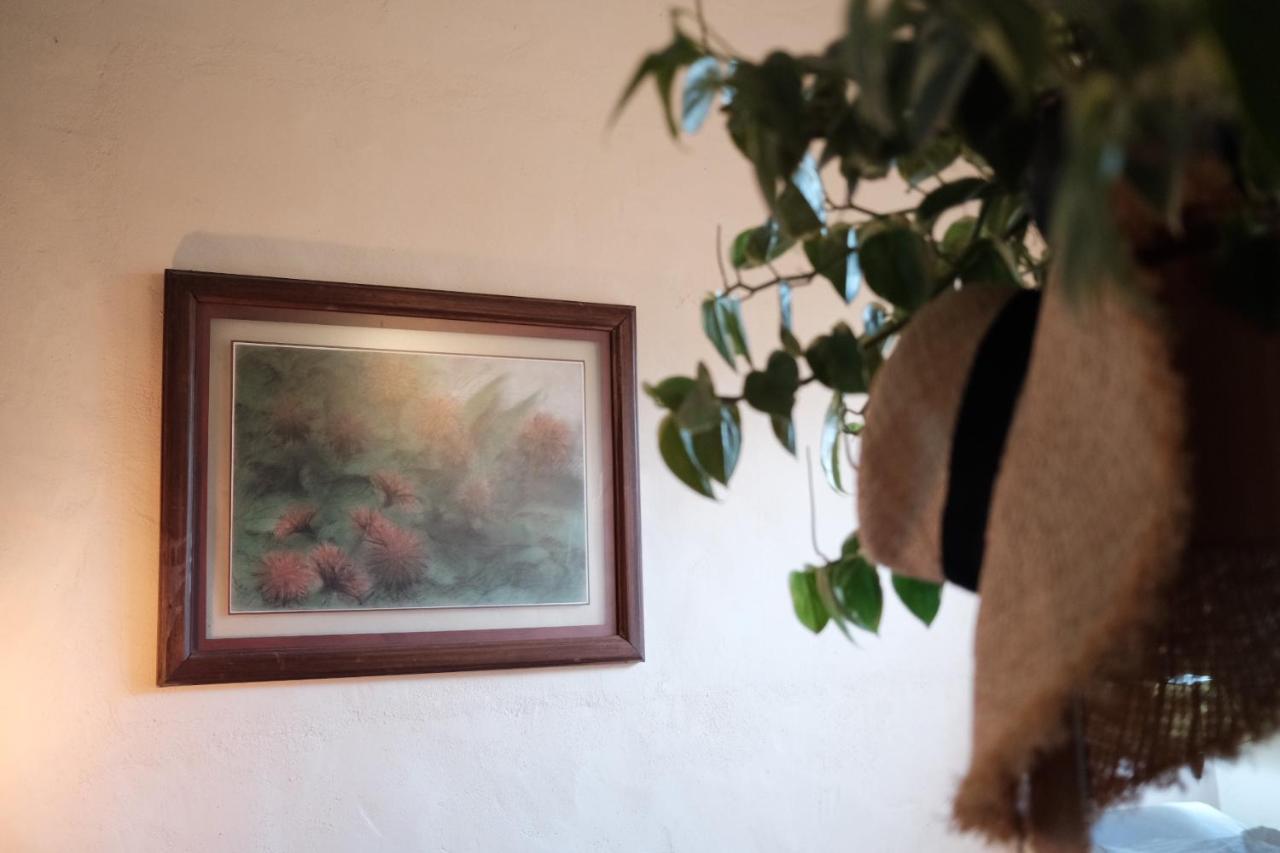 Habitacion Dentro Kaabna Spa 비야에르모사 외부 사진